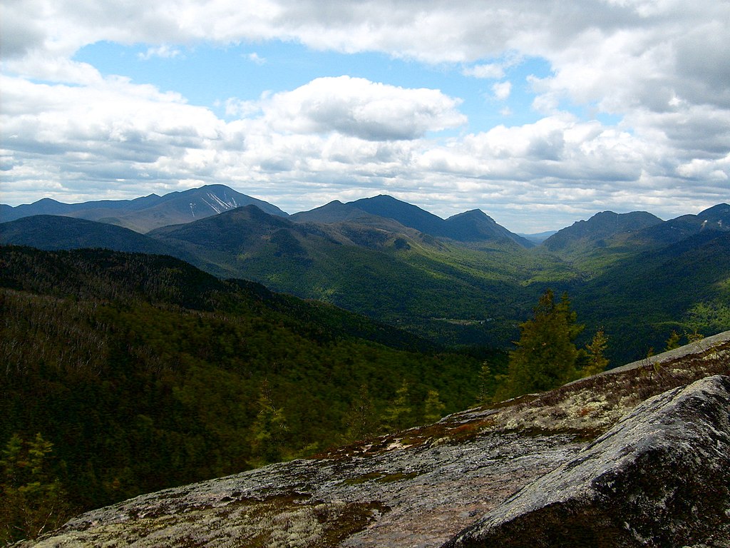 The Adirondack Mountains in New York State, USA, are a region that has been significantly affected by acid rain.