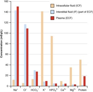 this figure shows the concentrations of sodium, chloride, bicarbonate, potassium, phosphate, calcium, magnesium, and proteins in the ICF, interstitial fluid, and plasma. Different colored bars represent the concentrations of the electrolytes in mEq/L