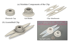 design of clip to be used for EEG recordings
