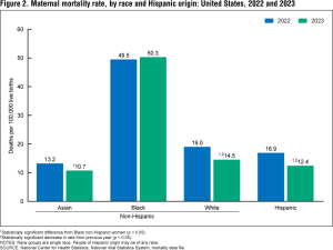 Bar chart depicting deaths per 100,000 live births among racial and ethnic groups: Asian, Black, White, and Hispanic.