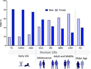 Bar graph showing male and female ratio percentages for conditions like TS, ADHD, ASD, etc., across life stages with males generally higher. [Image description linked]
