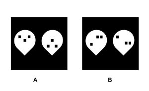 A diagram with two slides depicting a total of four different faces, both being "top heavy" and "bottom heavy."