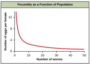 Graph showing fecundity decreases with density: as the number of worms increases, eggs per female drop sharply then level off at a low value. (linked Image Description available)