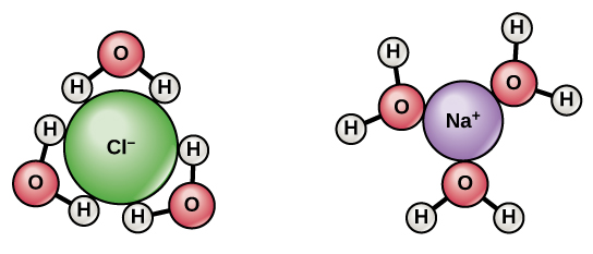 Chloride ion with surrounding water molecules on the left; sodium ion with surrounding water molecules on the right.