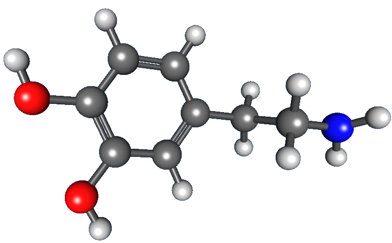 Ball and stick model of a dopamine molecule.