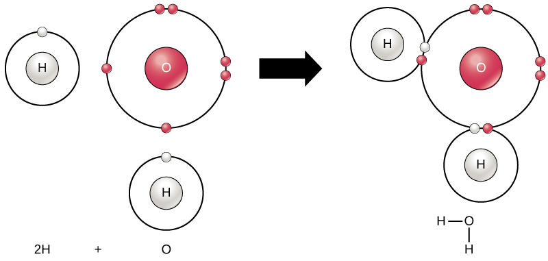 Electron sharing between hydrogen and oygen makes up the covalent bonds of water.