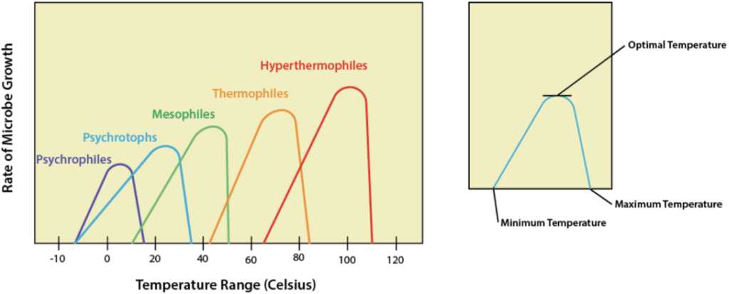 Graph showing microbe growth rates versus temperature for different types: Psychrophiles, Psychrotrophs, Mesophiles, Thermophiles, and Hyperthermophiles.