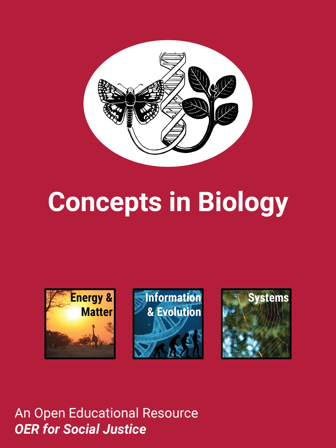 Cover image for Concepts in Biology
