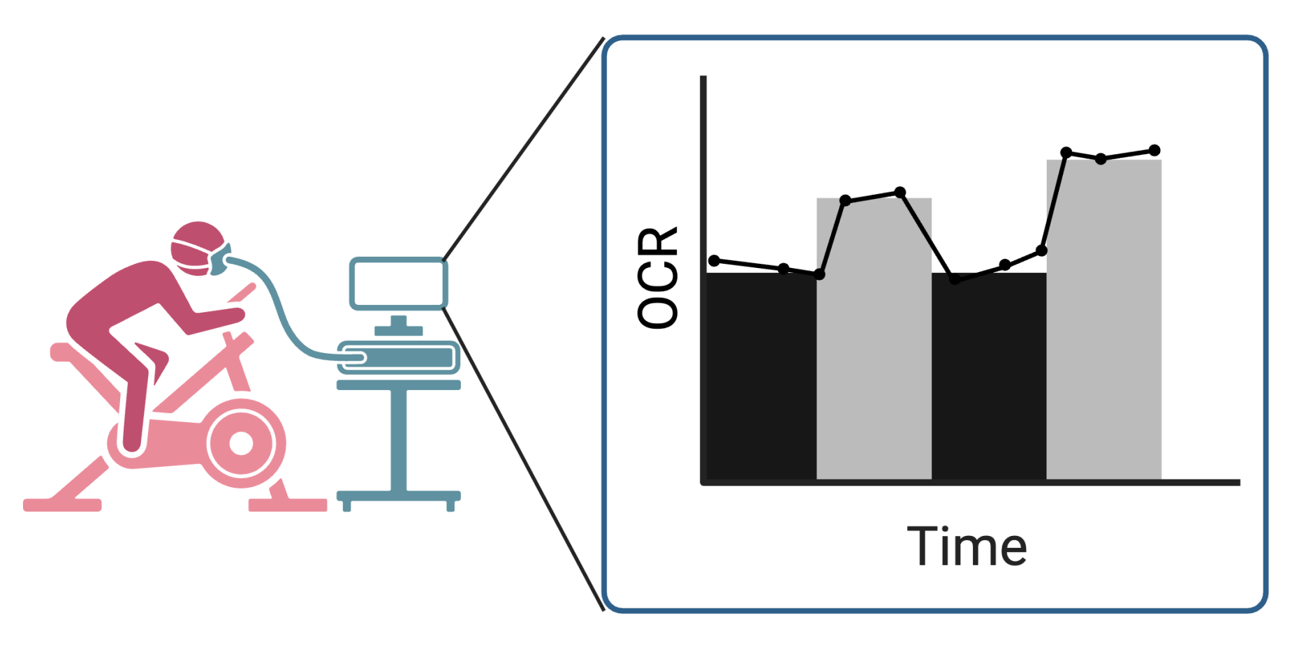 Illustration of a person on a stationary bike connected to an oxygen monitoring machine. The output of the machine is shown on a graph showing oxygen consumption rate changes over time.