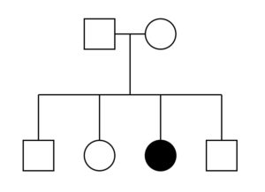 11d.pedigree2