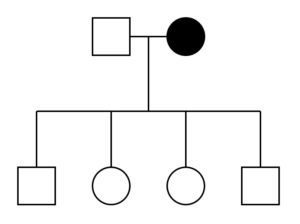 11d.pedigree3