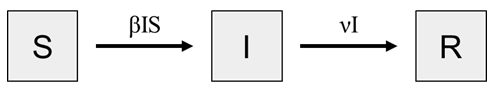 Diagram with three stages labeled "S," "I," and "R," connected by arrows with labels "βIS" and "νI."