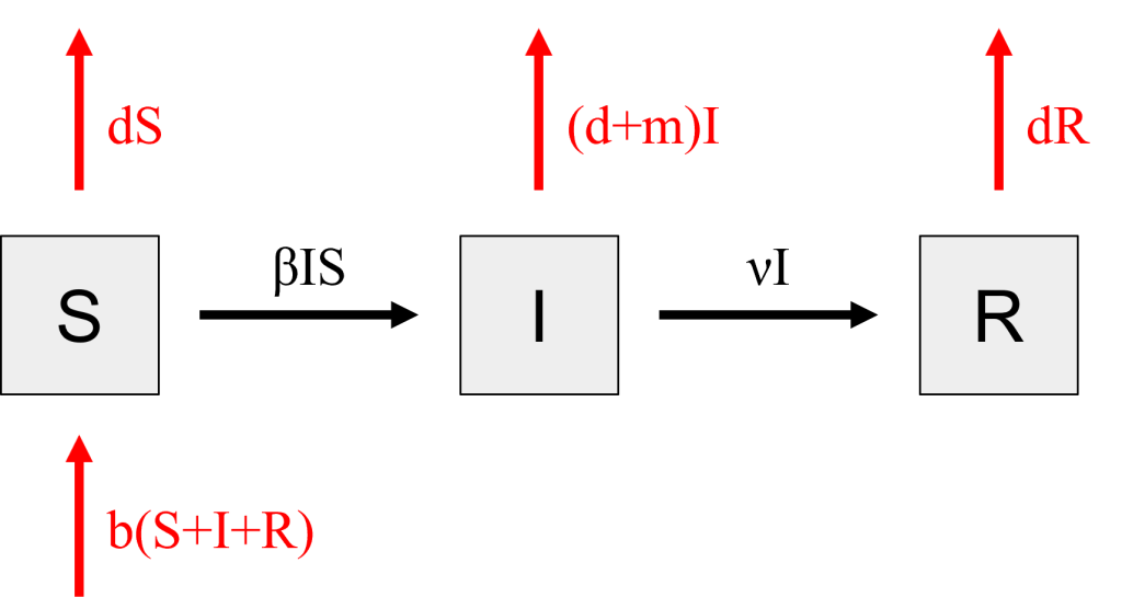 Diagram of an epidemiological compartmental model with S, I, R compartments and labeled flow arrows.