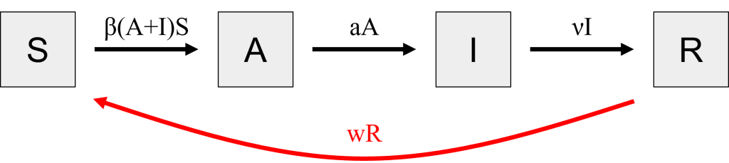 Four squares labeled S, A, I, and R with a red curved arrow beneath labeled wR.