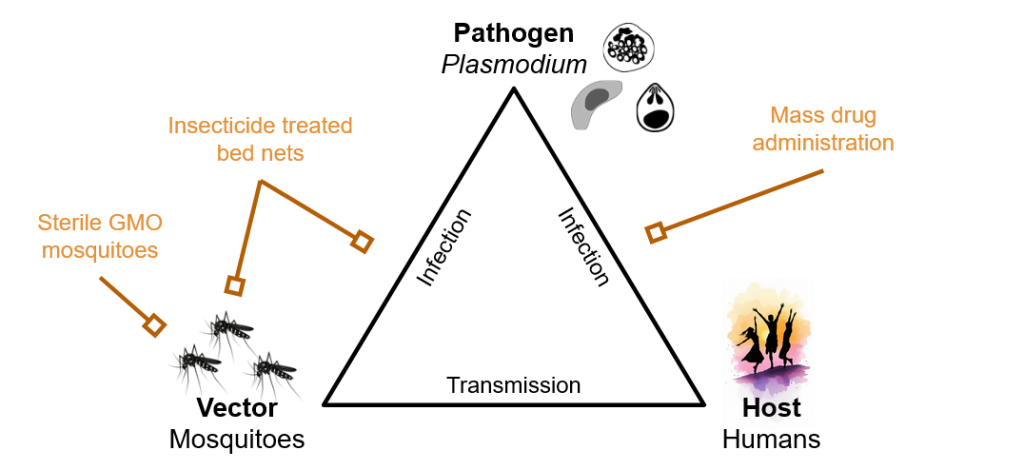 Diagram of pathogen, vector, and host interaction with prevention methods.