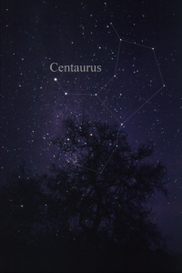 Starry night sky; Centaurus constellation outlined and labeled above a dark tree silhouette.