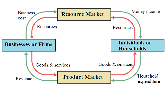 Circular flow model of economic activity Circular flow model of economic activity with four components: Businesses, Resource Market, Product Market, and Individuals.