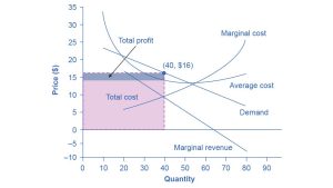 The graph shows that the point for profit maximizing output occurs where marginal revenue equals marginal cost. In addition, profit maximizing price is given by the height of the demand curve at the profit maximizing quantity.