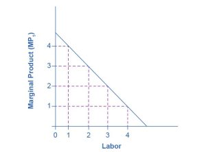 The graph shows the marginal product of labor. The x-axis is Labor, and has values from 0 through 4. The y-axis is Marginal Product (MP_1) and has values from 0 through 4. The curve proceeds downward as Labor increases. When labor is equal to 1, the Marginal Product is 4. But when Labor equals 4, the Marginal Product is 1.