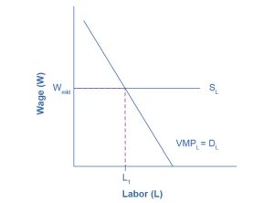 The graph shows the Marginal Product of Labor. The x-axis is Labor. The y-axis is Wage. The curve proceeds from right to left in a downward direction. A horizontal line indicating the going market wage projects from about halfway up the y-axis. Where the curve and the horizontal line meet, it is point L1. The caption provides context.