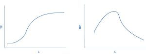 The graph shows the data from figure 7.2. The x-axis is the change in labor, and is labelled L. The y-axis is the change in total product, and is labelled TP. The curve in the graph starts relatively steeply, and levels off after time. The graph shows the more general cases of total product and marginal product curves. The x-axis is labor, and is labelled L. The y-axis is marginal product, and is labeled MP. The graph initially curves upward, then peaks before continuning in a downward direction until it tails off near the x-axis, showing nearly zero marginal product as labor increases.