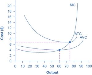 The graph shows marginal cost as an upward-sloping curve, and average variable cost and average total cost as U-shaped curves.