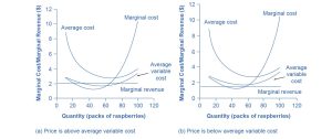 The graphs show that despite negative profits (i.e. losses), firms can continue to operate. However, when prices drop beneath variable cost, firms will shut down