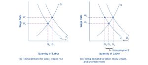 The graphs show how supply and demand influence unemployment.